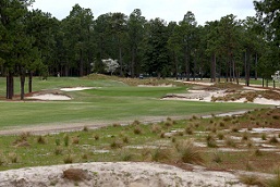 2014 U.S. Open